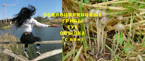 спайс Алзамай