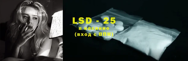 спайс Алзамай